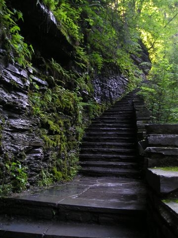 Watkins Staircase
